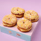 Donut 4 Box - Sprinkles Ring